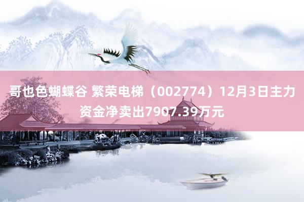 哥也色蝴蝶谷 繁荣电梯（002774）12月3日主力资金净卖出7907.39万元