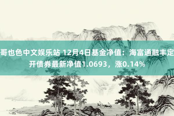 哥也色中文娱乐站 12月4日基金净值：海富通融丰定开债券最新净值1.0693，涨0.14%