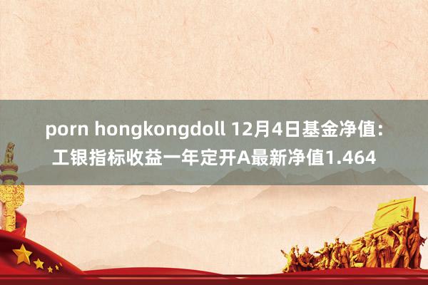 porn hongkongdoll 12月4日基金净值：工银指标收益一年定开A最新净值1.464