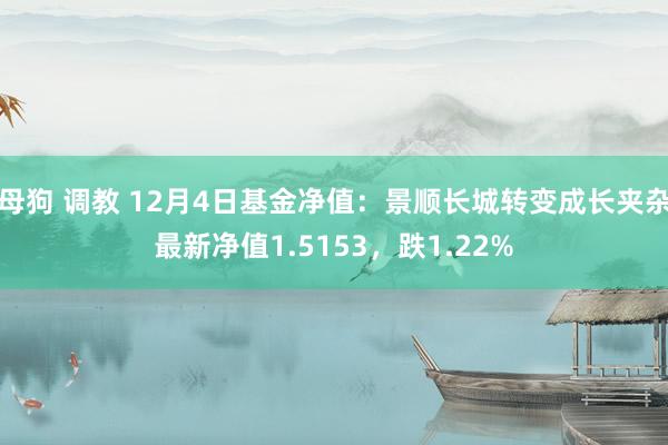 母狗 调教 12月4日基金净值：景顺长城转变成长夹杂最新净值1.5153，跌1.22%