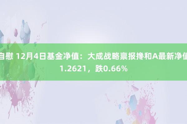 自慰 12月4日基金净值：大成战略禀报搀和A最新净值1.2621，跌0.66%