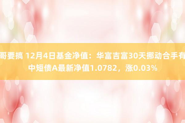 哥要搞 12月4日基金净值：华富吉富30天挪动合手有中短债A最新净值1.0782，涨0.03%