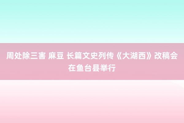 周处除三害 麻豆 长篇文史列传《大湖西》改稿会在鱼台县举行