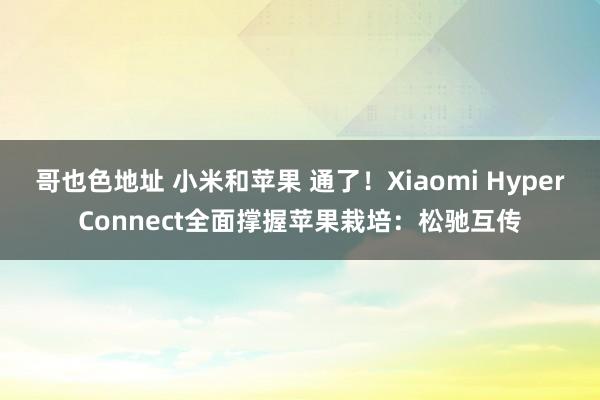 哥也色地址 小米和苹果 通了！Xiaomi HyperConnect全面撑握苹果栽培：松驰互传