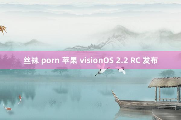 丝袜 porn 苹果 visionOS 2.2 RC 发布