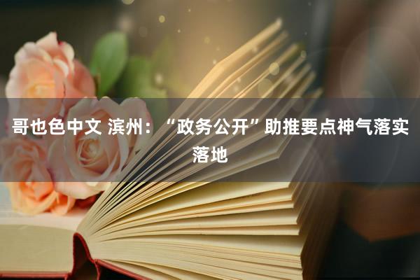 哥也色中文 滨州：“政务公开”助推要点神气落实落地