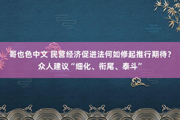 哥也色中文 民营经济促进法何如修起推行期待？众人建议“细化、衔尾、泰斗”