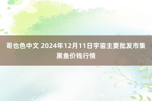 哥也色中文 2024年12月11日宇宙主要批发市集黑鱼价钱行情