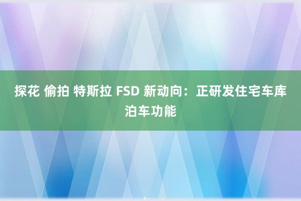 探花 偷拍 特斯拉 FSD 新动向：正研发住宅车库泊车功能