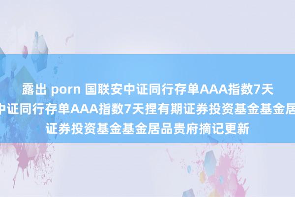 露出 porn 国联安中证同行存单AAA指数7天捏有期: 国联安中证同行存单AAA指数7天捏有期证券投资基金基金居品贵府摘记更新