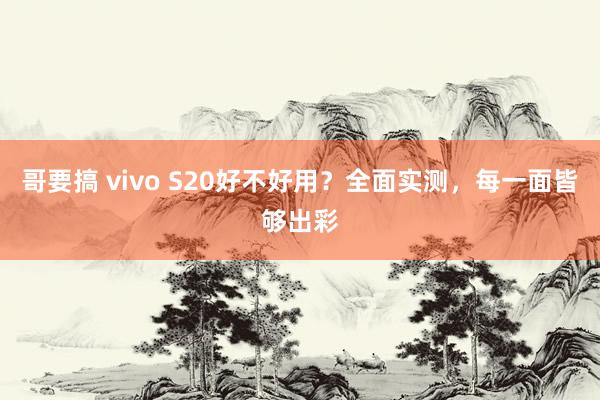 哥要搞 vivo S20好不好用？全面实测，每一面皆够出彩