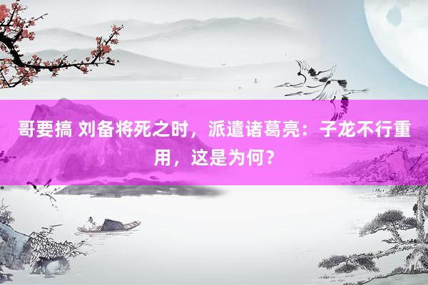 哥要搞 刘备将死之时，派遣诸葛亮：子龙不行重用，这是为何？