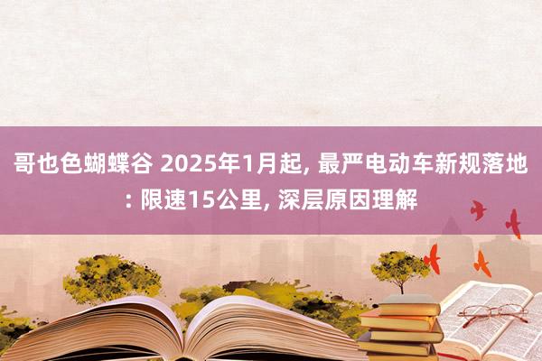 哥也色蝴蝶谷 2025年1月起， 最严电动车新规落地: 限速15公里， 深层原因理解