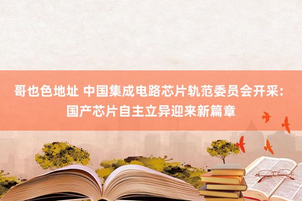 哥也色地址 中国集成电路芯片轨范委员会开采: 国产芯片自主立异迎来新篇章