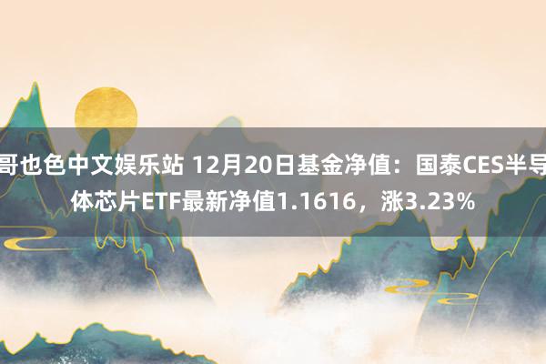 哥也色中文娱乐站 12月20日基金净值：国泰CES半导体芯片ETF最新净值1.1616，涨3.23%