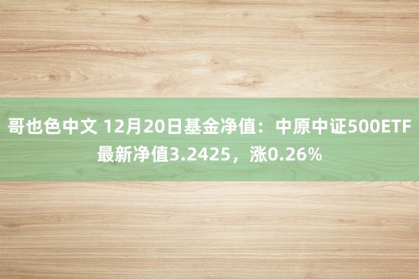 哥也色中文 12月20日基金净值：中原中证500ETF最新净值3.2425，涨0.26%