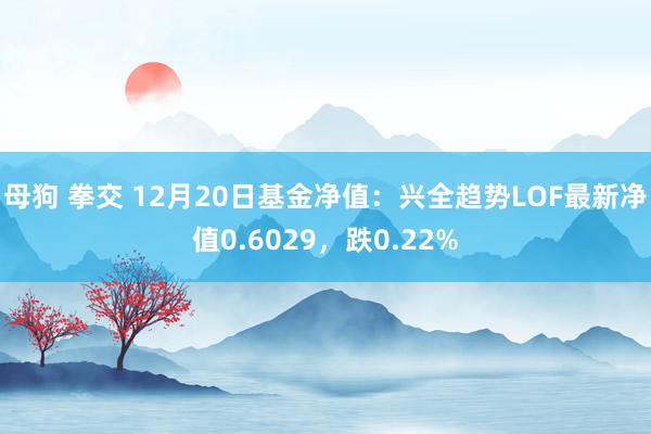 母狗 拳交 12月20日基金净值：兴全趋势LOF最新净值0.6029，跌0.22%