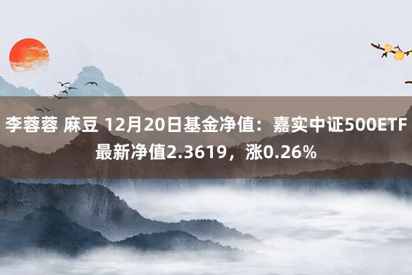 李蓉蓉 麻豆 12月20日基金净值：嘉实中证500ETF最新净值2.3619，涨0.26%