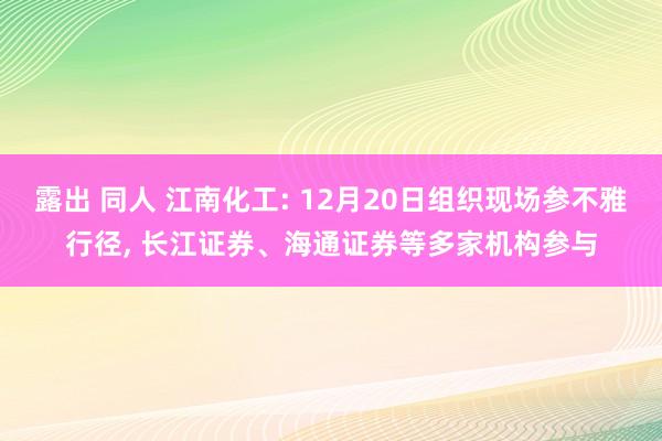 露出 同人 江南化工: 12月20日组织现场参不雅行径， 长江证券、海通证券等多家机构参与