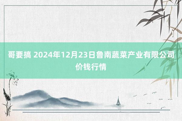 哥要搞 2024年12月23日鲁南蔬菜产业有限公司价钱行情