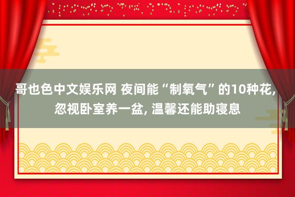 哥也色中文娱乐网 夜间能“制氧气”的10种花， 忽视卧室养一盆， 温馨还能助寝息