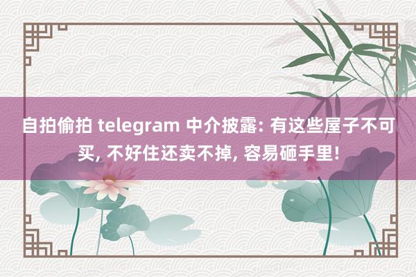 自拍偷拍 telegram 中介披露: 有这些屋子不可买， 不好住还卖不掉， 容易砸手里!