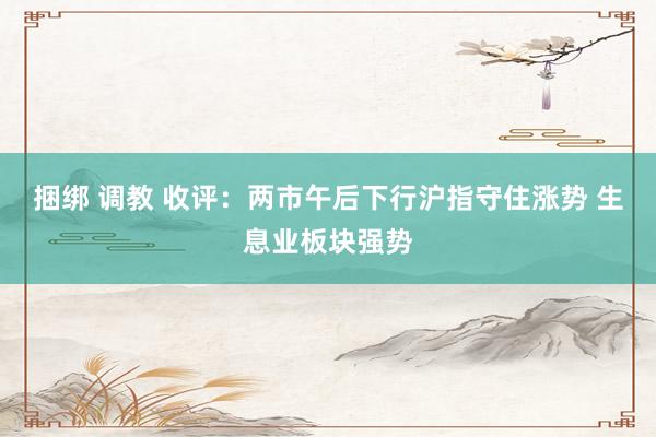 捆绑 调教 收评：两市午后下行沪指守住涨势 生息业板块强势