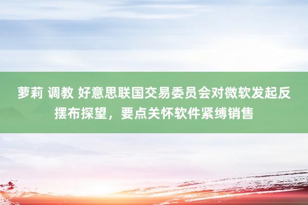 萝莉 调教 好意思联国交易委员会对微软发起反摆布探望，要点关怀软件紧缚销售