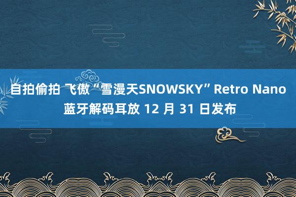 自拍偷拍 飞傲“雪漫天SNOWSKY”Retro Nano 蓝牙解码耳放 12 月 31 日发布