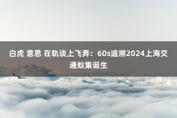 白虎 意思 在轨谈上飞奔：60s追溯2024上海交通蚁集诞生