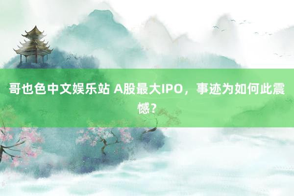 哥也色中文娱乐站 A股最大IPO，事迹为如何此震憾？