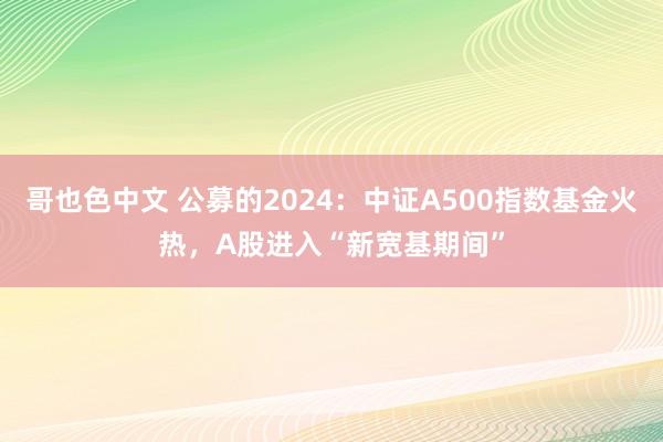 哥也色中文 公募的2024：中证A500指数基金火热，A股进入“新宽基期间”