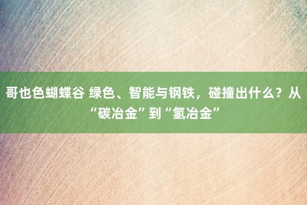 哥也色蝴蝶谷 绿色、智能与钢铁，碰撞出什么？从“碳冶金”到“氢冶金”