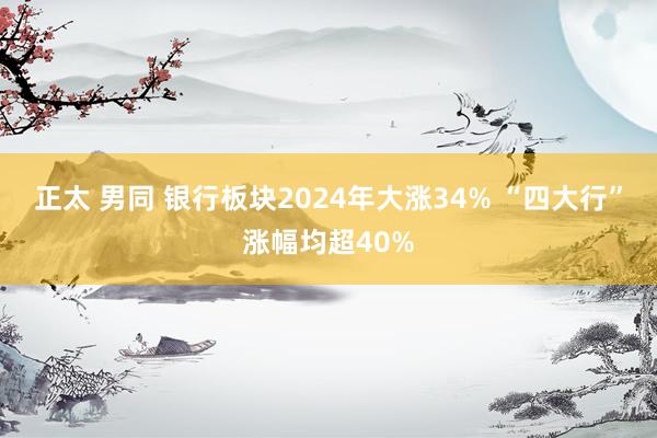 正太 男同 银行板块2024年大涨34% “四大行”涨幅均超40%