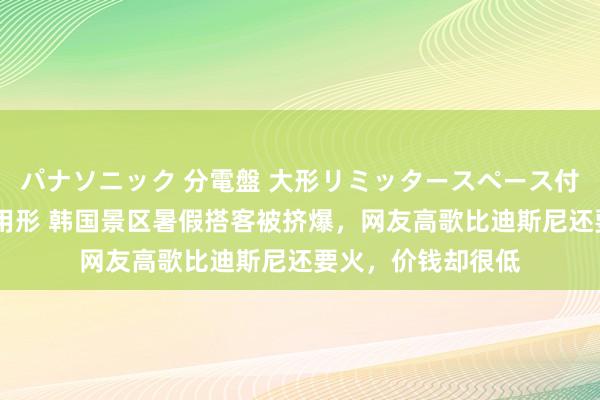 パナソニック 分電盤 大形リミッタースペース付 露出・半埋込両用形 韩国景区暑假搭客被挤爆，网友高歌比迪斯尼还要火，价钱却很低