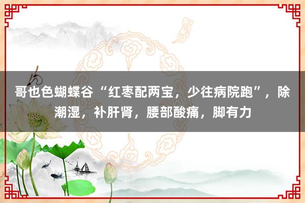 哥也色蝴蝶谷 “红枣配两宝，少往病院跑”，除潮湿，补肝肾，腰部酸痛，脚有力