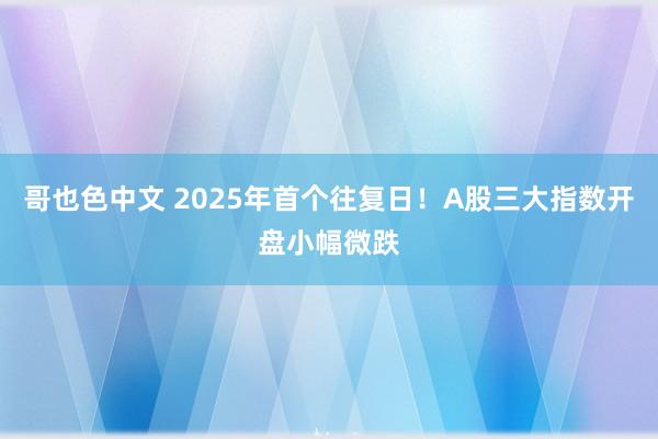 哥也色中文 2025年首个往复日！A股三大指数开盘小幅微跌