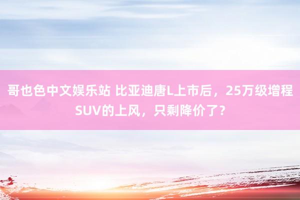 哥也色中文娱乐站 比亚迪唐L上市后，25万级增程SUV的上风，只剩降价了？