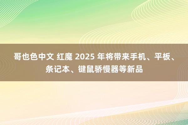 哥也色中文 红魔 2025 年将带来手机、平板、条记本、键鼠骄慢器等新品