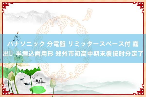 パナソニック 分電盤 リミッタースペース付 露出・半埋込両用形 郑州市初高中期末覆按时分定了