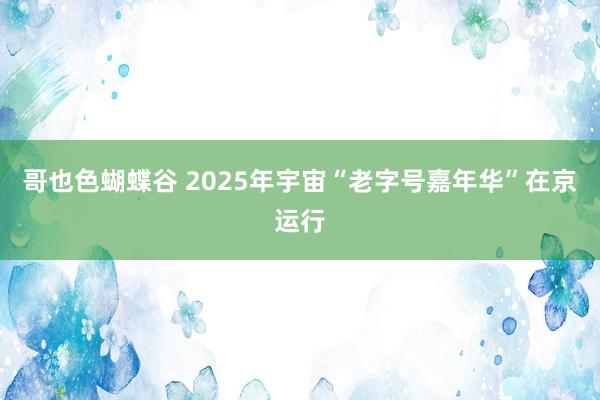 哥也色蝴蝶谷 2025年宇宙“老字号嘉年华”在京运行