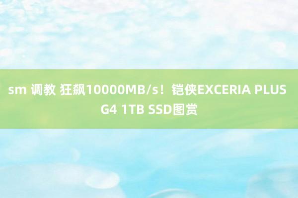 sm 调教 狂飙10000MB/s！铠侠EXCERIA PLUS G4 1TB SSD图赏