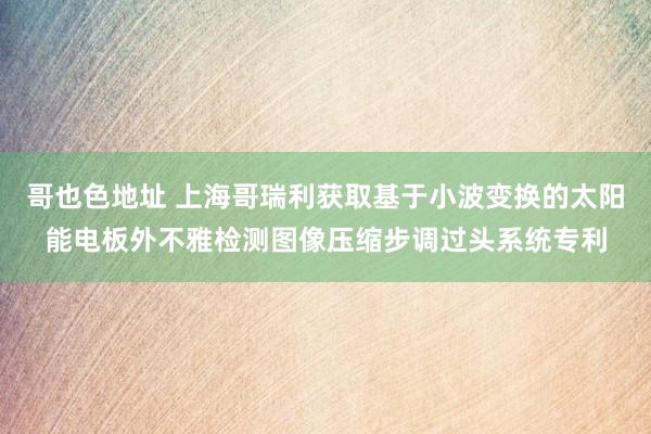 哥也色地址 上海哥瑞利获取基于小波变换的太阳能电板外不雅检测图像压缩步调过头系统专利