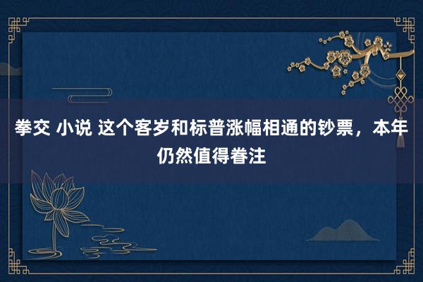 拳交 小说 这个客岁和标普涨幅相通的钞票，本年仍然值得眷注