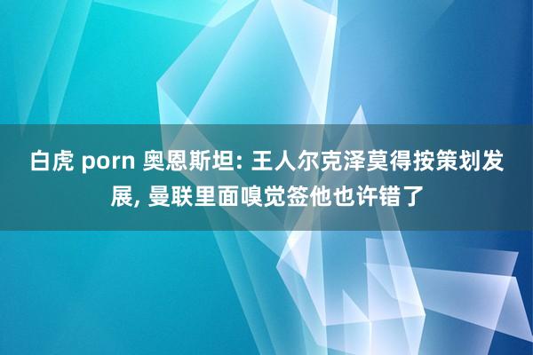 白虎 porn 奥恩斯坦: 王人尔克泽莫得按策划发展， 曼联里面嗅觉签他也许错了