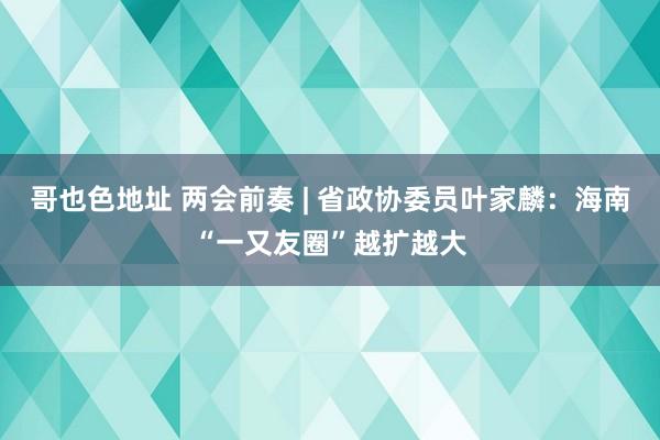 哥也色地址 两会前奏 | 省政协委员叶家麟：海南“一又友圈”越扩越大