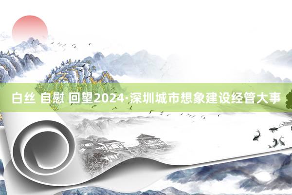 白丝 自慰 回望2024·深圳城市想象建设经管大事