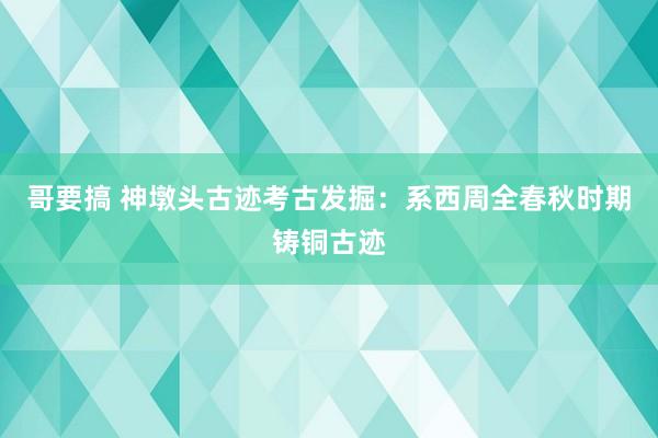 哥要搞 神墩头古迹考古发掘：系西周全春秋时期铸铜古迹