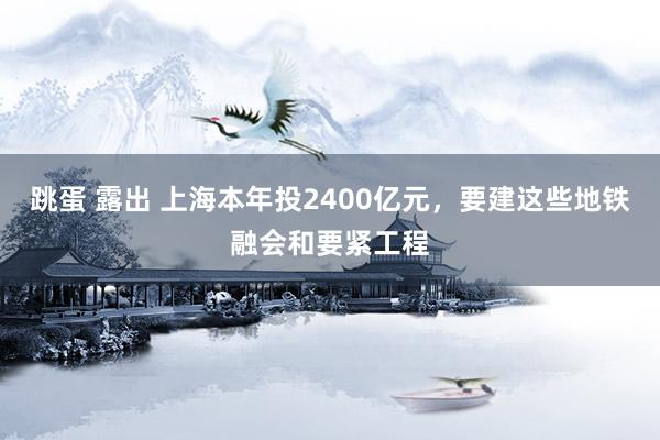 跳蛋 露出 上海本年投2400亿元，要建这些地铁融会和要紧工程