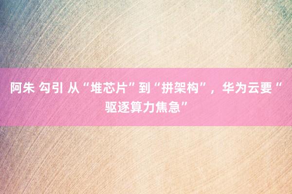 阿朱 勾引 从“堆芯片”到“拼架构”，华为云要“驱逐算力焦急”